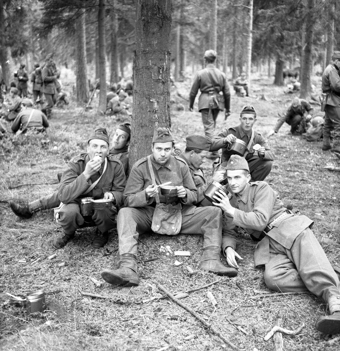 Sex soldater från Hälsinge Regemente, I 14, samlade runt en gran under en måltid