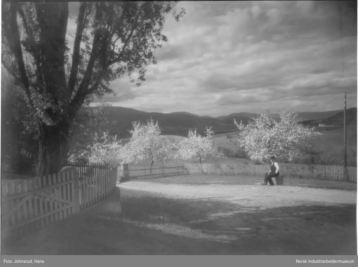 Mann stående på gårdsplass ved frukttrær. Stakittgjerde rundt eiendommen. Dyrket mark og gårsbruk i landskapet rundt.