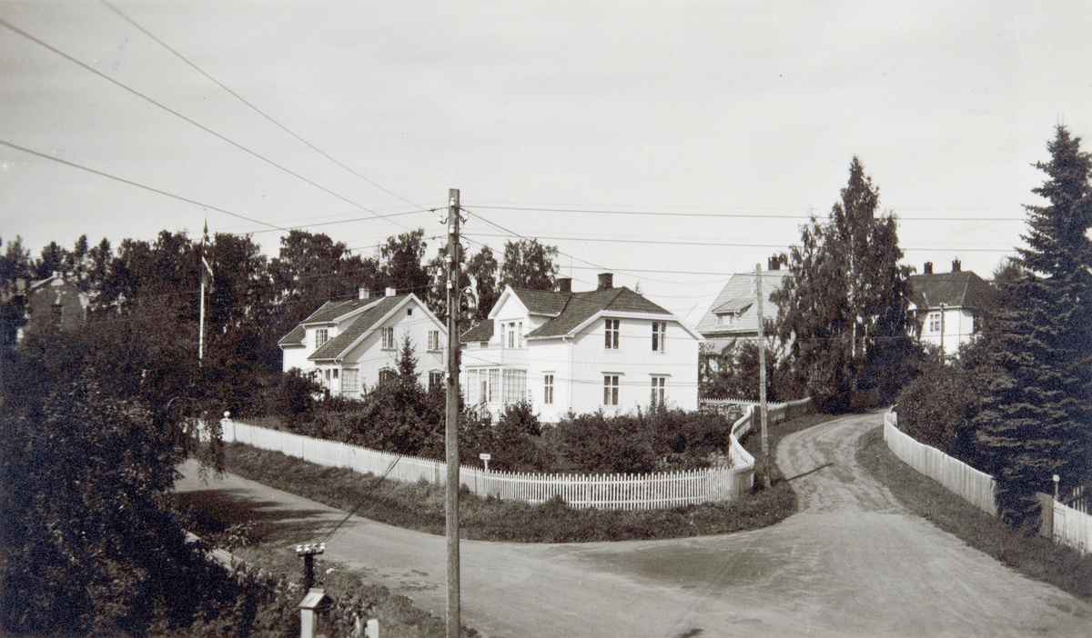 Postkort, Hamar, villaer i i krysset Holsetgata - Kincks gate 2,