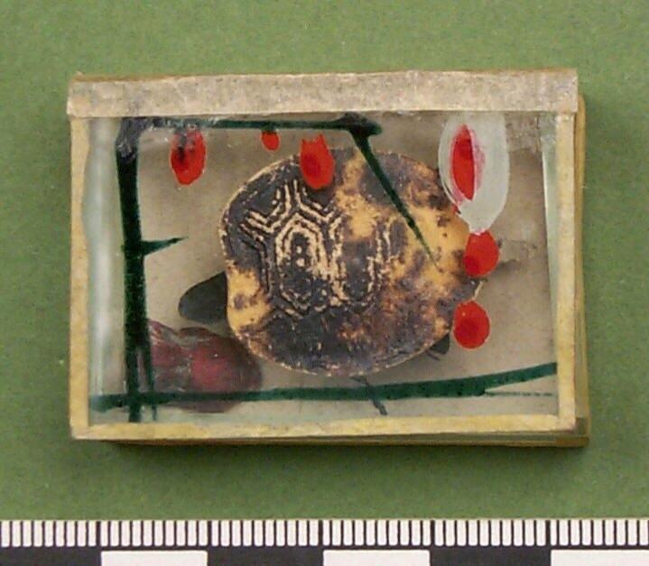 Leksak bestående av en glaslåda med lock, i lådan är en sköldpadda av papp med ben svans och huvud upphängda i trådar, ben svans och huvud rör sig när lådan skakas om, målad dekor på locket i svart rött och vitt, "spiritus ?" enligt originalkatalogen.
i Form av sköldpadda i glasask. Askens storlek 4,3 x 3,1 x 1,3 cm.