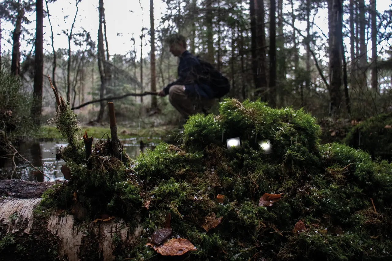 En person sitter på huk i skogen, det er mose og vann rundt ham. I forgrunnen lyser to små lyskilder som kan ligne øyne i en mosekledt stein.