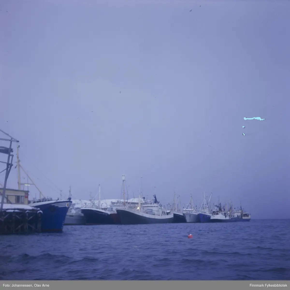 Foto av loddesnurpere i Båtsfjord 

Det gule bygget til venstre er fiskebruket "Produksjonslageret" som ikke lenger eksisterer

Foto trolig tatt på 1960/70-tallet