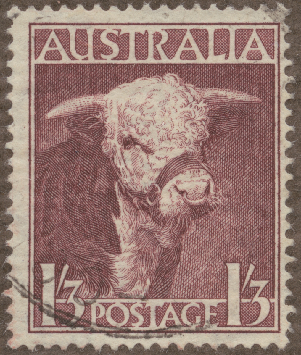 Frimärke ur Gösta Bodmans filatelistiska motivsamling, påbörjad 1950.
Frimärke från Australien, 1948. Motiv av Tjur av Hereford ras