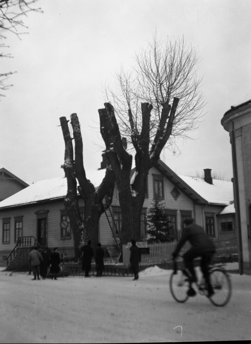 Foto av Tollefsens hus i Porsgrunn

Fotosamling etter fotograf og kringkastingsmann Rikard W. Larsson (31.12.1924 - 08.06.2015).