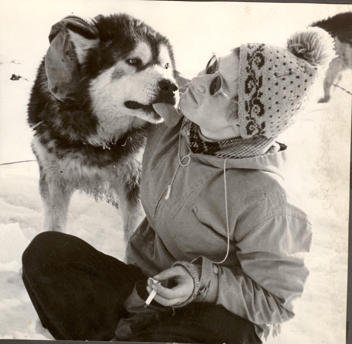 Catherine Bjelland med hund Frigg utenfor Tredalshytta i pinsen 1956. Foto fra Catherine Bjellands album. Original returnert til giver.