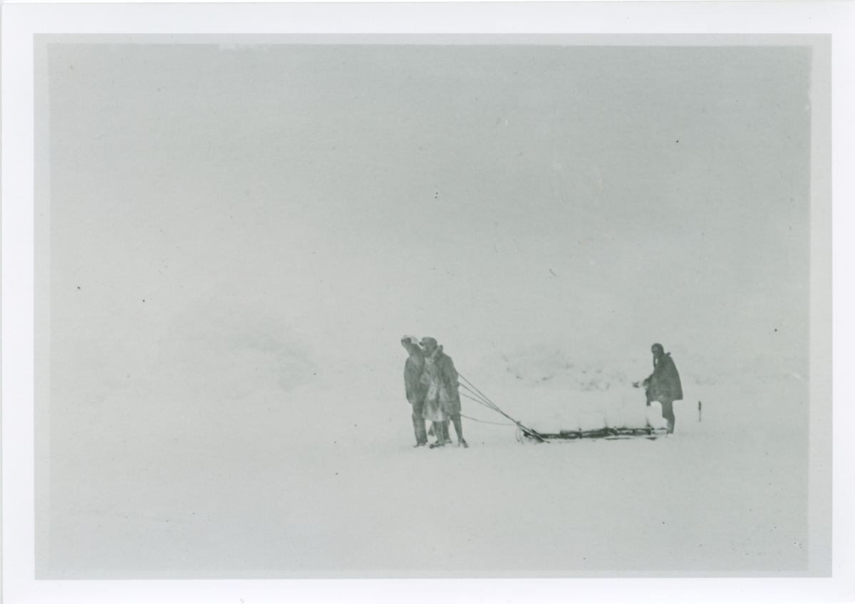 Amundsenekspedisjonen 1925. Snøfrakting på kjelke. Bilder fra album som tilhørte Johan Mattson. Fotograf er Amundsens medbragte fotograf, navn ukjent.