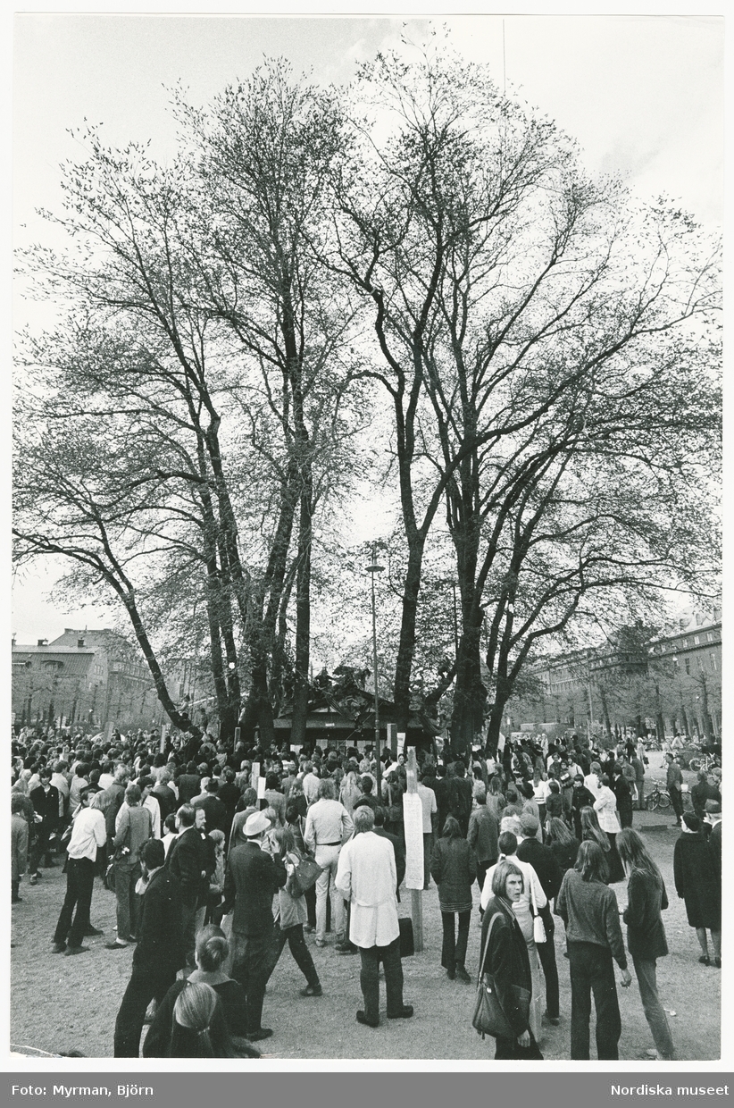 Almarna, almstriden i Kungsträdgården, Stockholm, 12-13 maj 1971, då ett antal miljövänner genom att klättra upp i de hundraåriga almarna lyckades hindra att träden sågades ned för att ge plats till en planerad tunnelbaneuppgång. En folksamling nedanför träden.