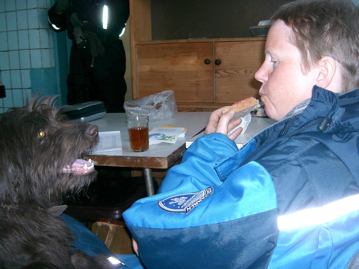 Veterinærtur i Barentsburg. Sysselmanns funktionær med hund.