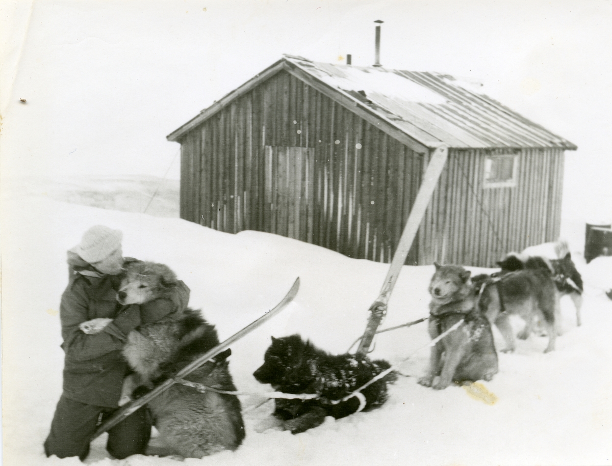 Bilder fra Jorunn Skau-Jacobsen f. 04.01.1922(f. Ryan) og Jacob Skau-Jacobsen f. 17.07.1922 sin reise til og opphold på Svalbard i 1948-1950. Jorunn fikk jobb som lærer. Giveren er et barnebarn.Bildene finnes i et album med tekst til en del av de. Hundespann og person ved Passhytta.