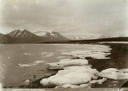Isfjorden. Bildet kommer fra fotoalbum med gjenstandsnummer 