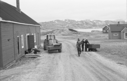 Tre menn med kullvogn på vei i Ny-Ålesund.