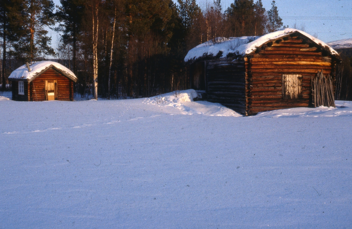 Utløe1981