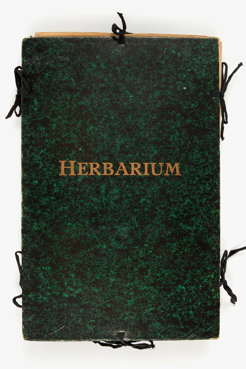 Fem st herbariepärmar innehållande ark med pressade växter. Växterna är insamlade runt Sånggården i Sjugare, Leksand och runt Stockholm. Växtlistor finns.
