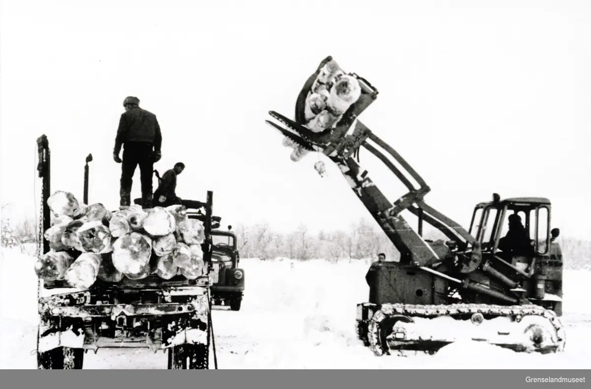 Tømmerdrift i Pasvik. En maskin løfter tømmer opp i en lastebil. En person opererer traktoren og to personer tar imot tømmeret. 