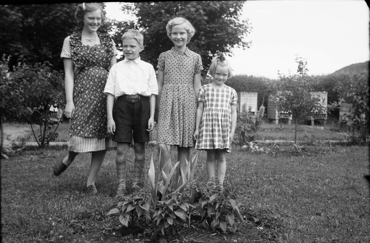 Barnen till Ernst och Evelina Larsson i Utmossen, Fageråkra, fr v: Sonja, Arne, Eva och Irma. De står i trädgården vid blommor i en rabatt och i bakgrunden syns bikupor, utblommade lupiner, ett ungt fruktträd och syrener.