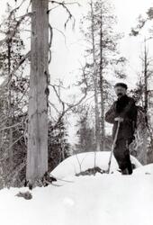En mann står i nasjonalparken ved Vaggatem i Pasvikdalføret 