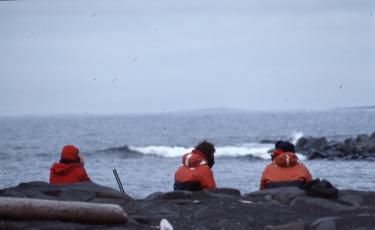 Biologer som venter på Lurøya, Tusenøyane
