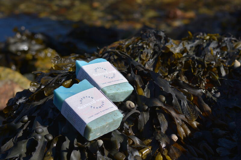 Hvilende på tang i fjære ligger et par såpestykker laget av tang, de er av merket Lofoten Seaweed
