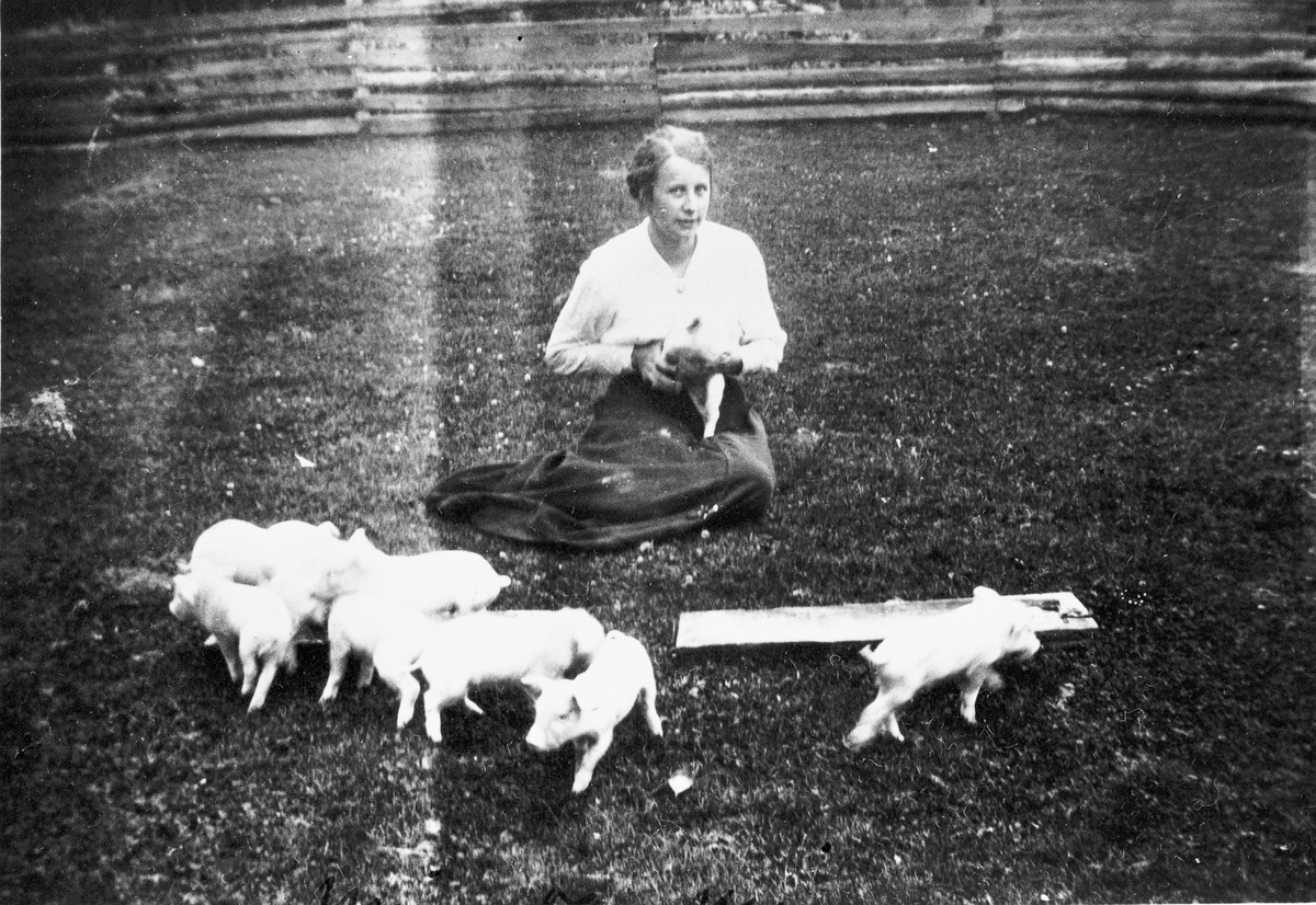 Gudrun Kopseng med grisunger. På Øvre Kopseng, ca.1913. 