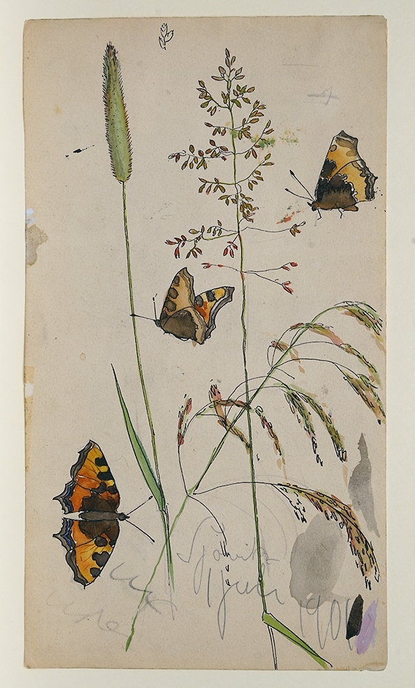 Grässtrån och fjärilar