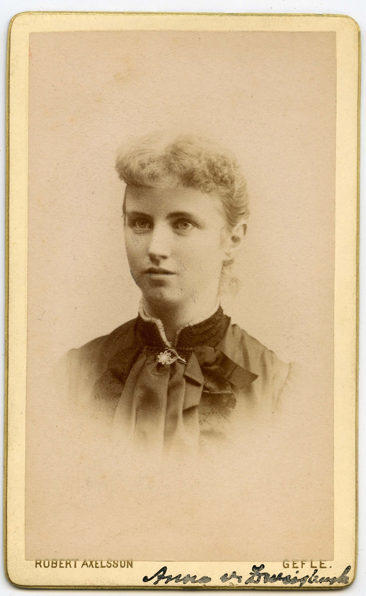 Porträtt på Doktorinna A  Horney född von Zweigbergk,  1865-1892.