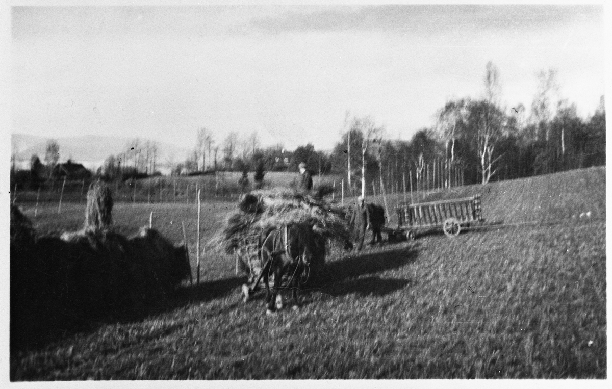 Slåttonn med høykjøring på gården Austad i Østre Toten året 1918.