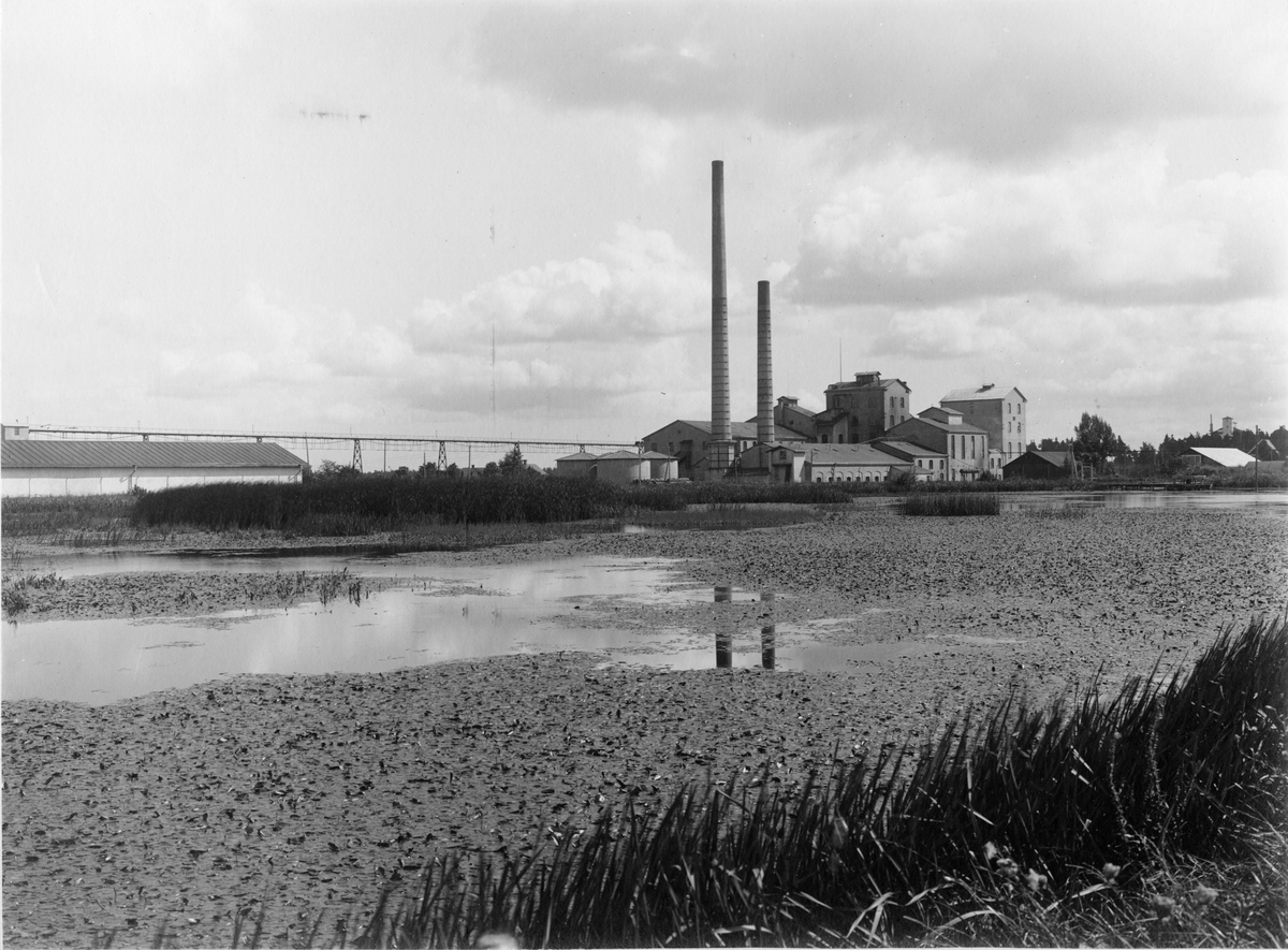 Roma sockerfabrik på Gotland i augusti 1924.
