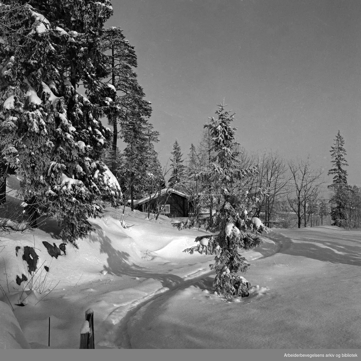 Vinterstemning i Nordmarka. Mars 1954.