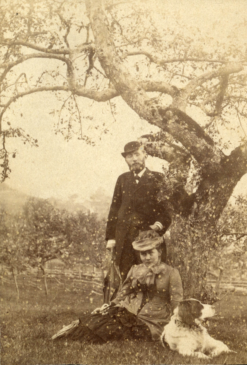 Mann, kvinne og hund utendørs ved et tre.