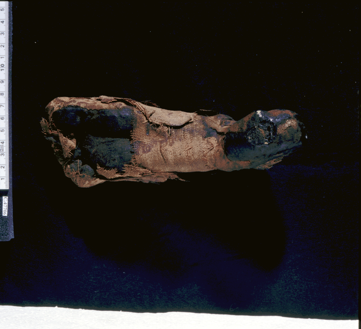 EtnoNo: 36996.
Fragment av en mumie, høyre fot med linbandasjer.