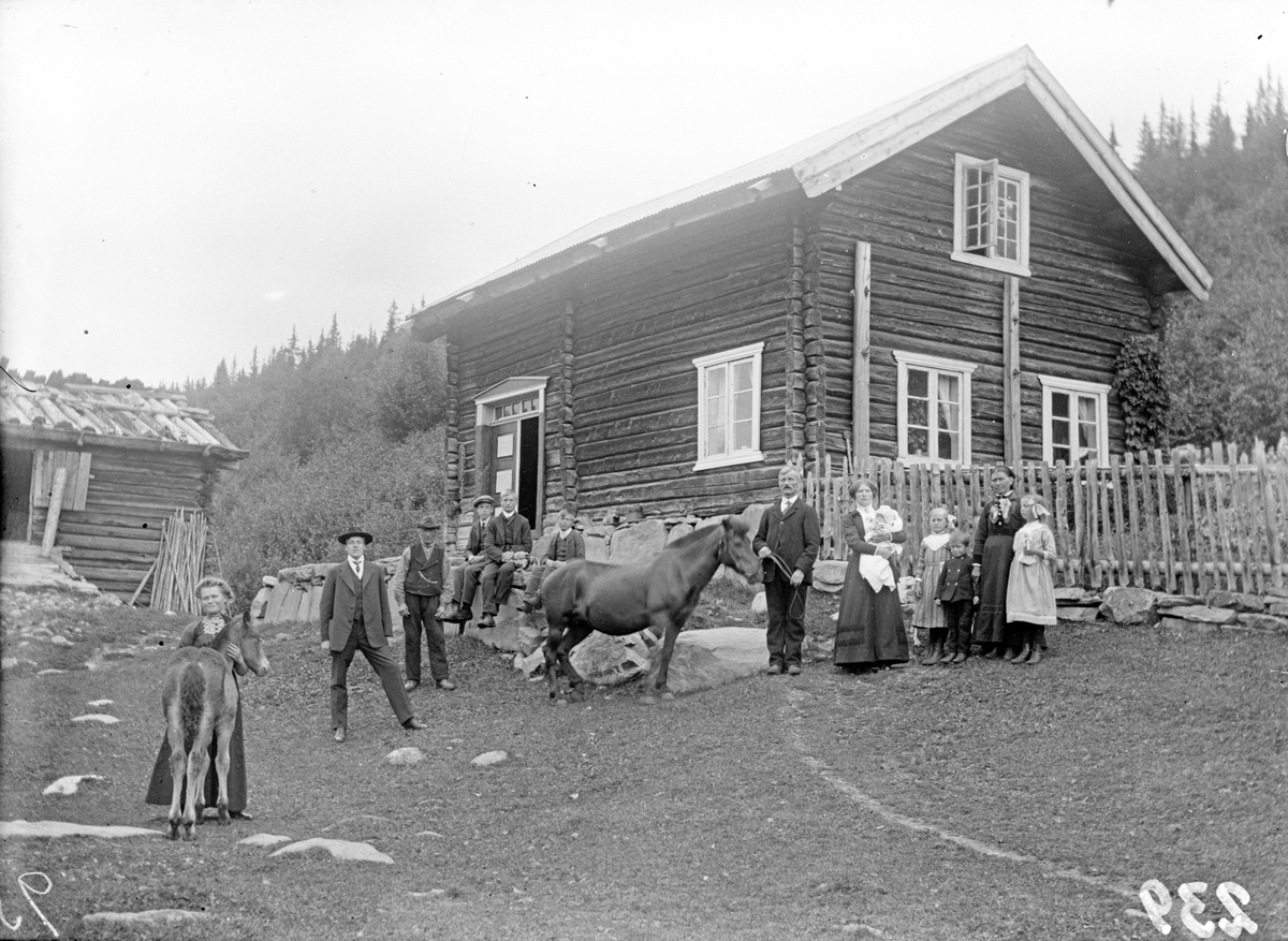 Bilde viser familiegruppe i tunet, med hest og føll

Fotosamling etter Øystein O. Jonsjords (1895-1968), Tinn.