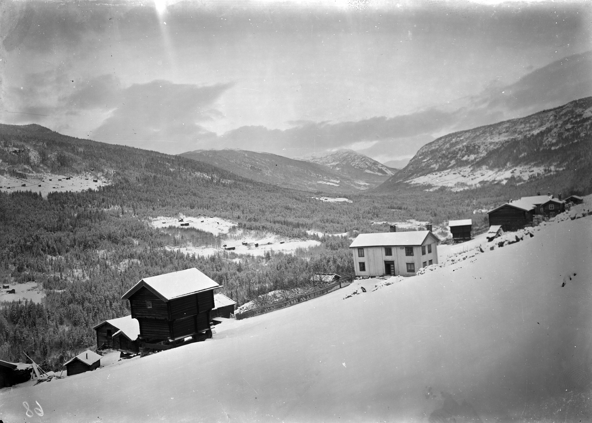 Fotosamling etter Øystein O. Jonsjords (1895-1968), Tinn. 

Bilde viser Austbygda, med utsikten fra Su` Jonsjord