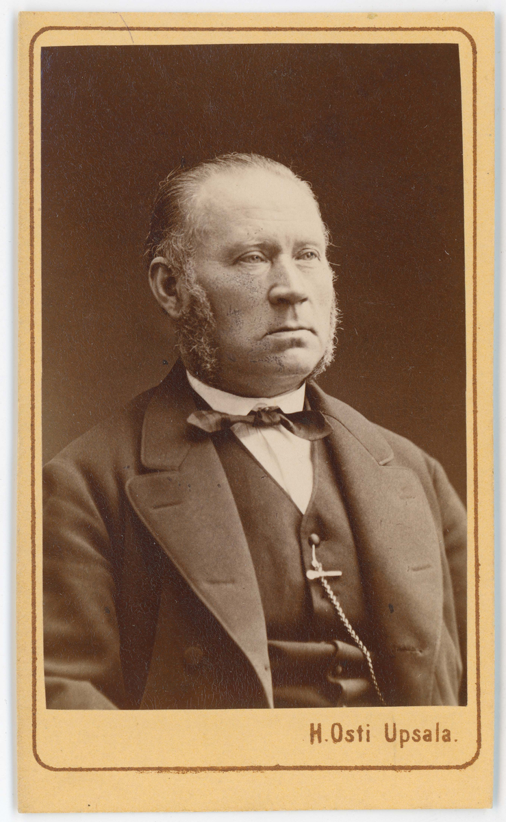 Porträtt på L.W Levén.