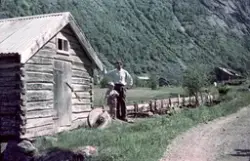 Fra Eikesdalen, pinsen 1954.