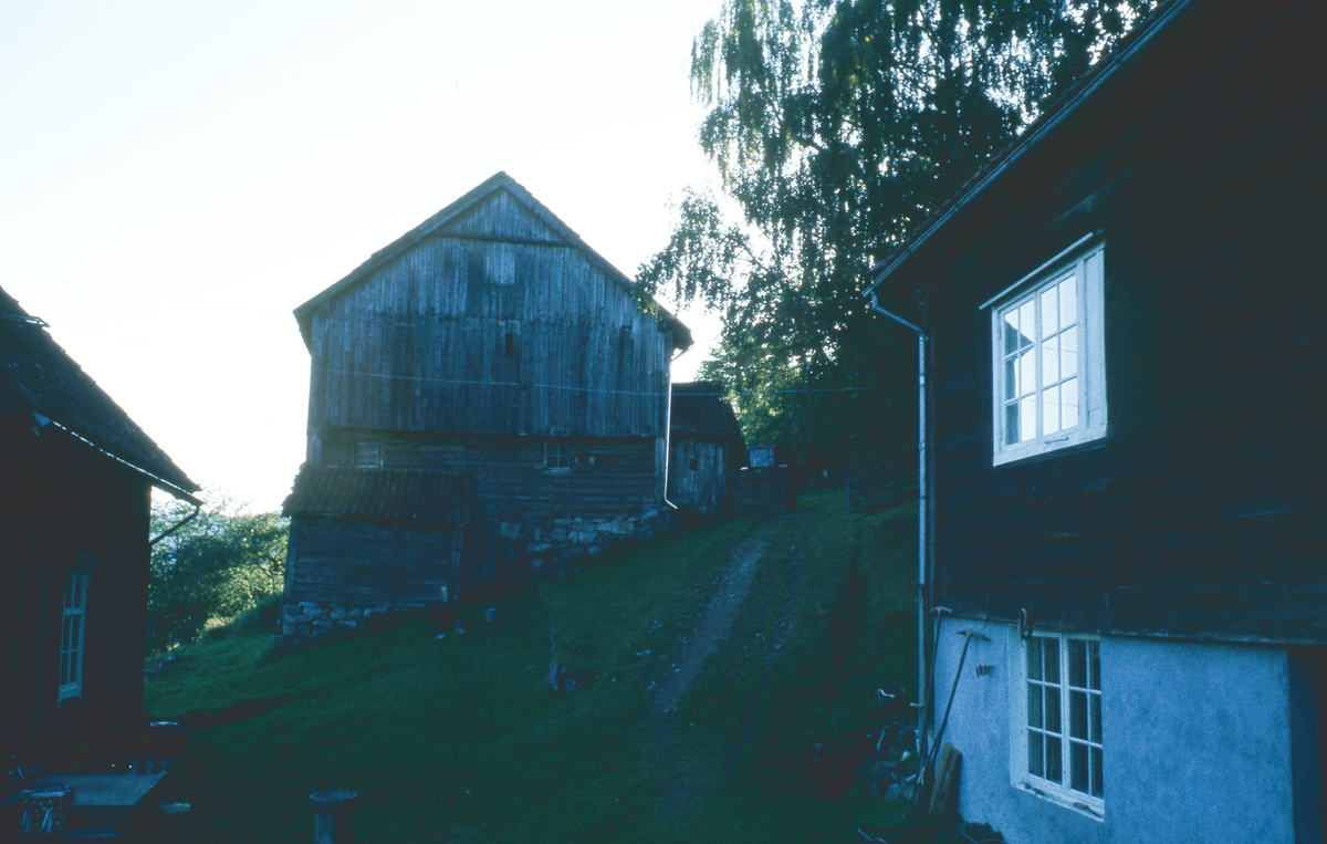 Bilder fra Sogn og Fjordane. 1981