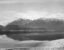 "Prot: Rosendal Hardangerfjord
"