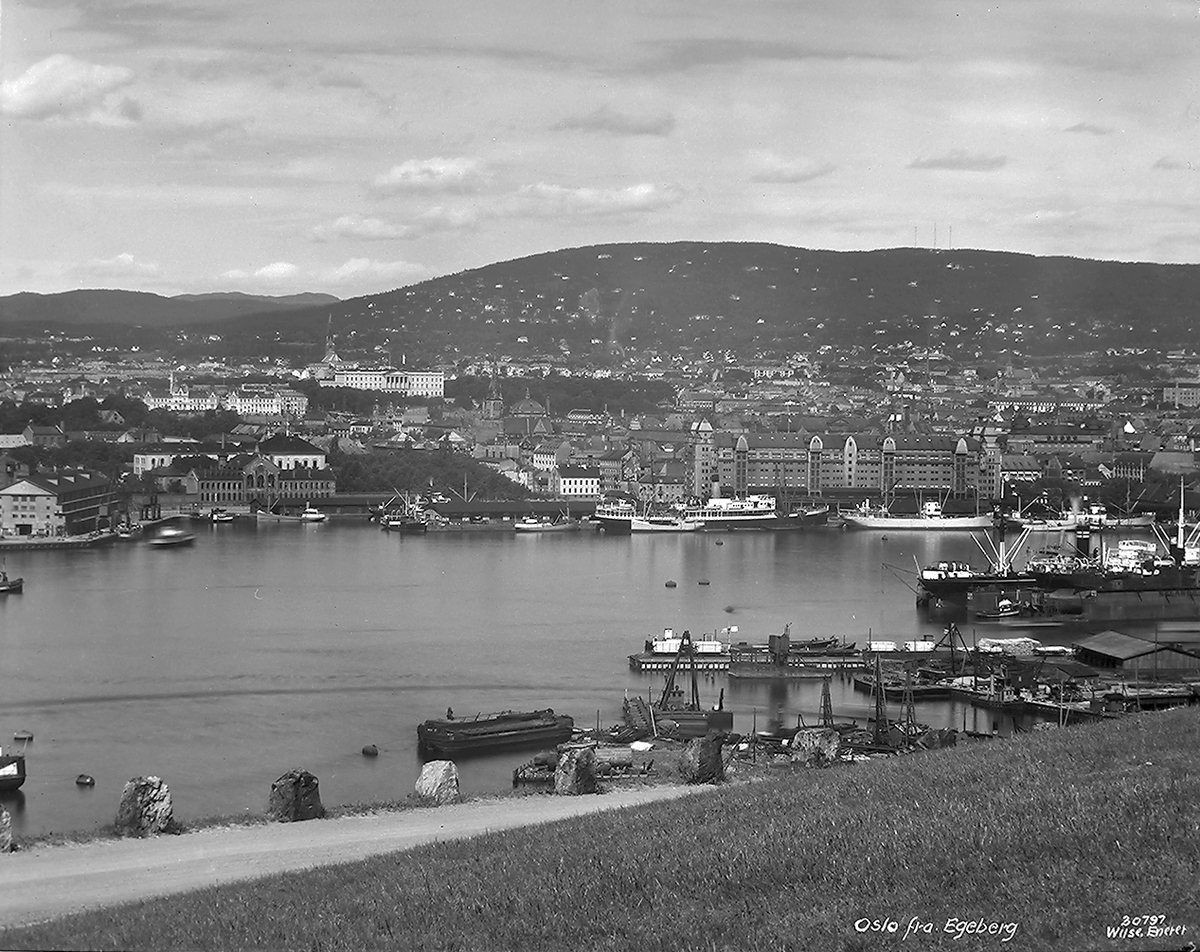 Prot: Oslo og Omegn, Utsigt fra Egeberg, panorama