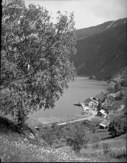 Prot: Aurlandsfjord ved Fretheim