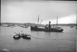 Prot: Sildefiske ved Haugesund flåten Noten settes