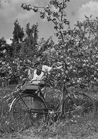 Prot: Syklister epletre