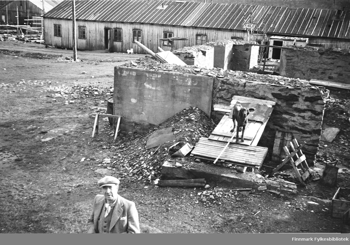 Gjenreisning i Havøysund, 1948. En ukjent mann i forgrunnen og en hund ved ruiner.