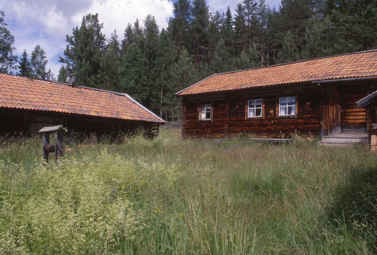 Foto till boken " Byggda Minnen", Torkelsbovallen i Ljusdal.
