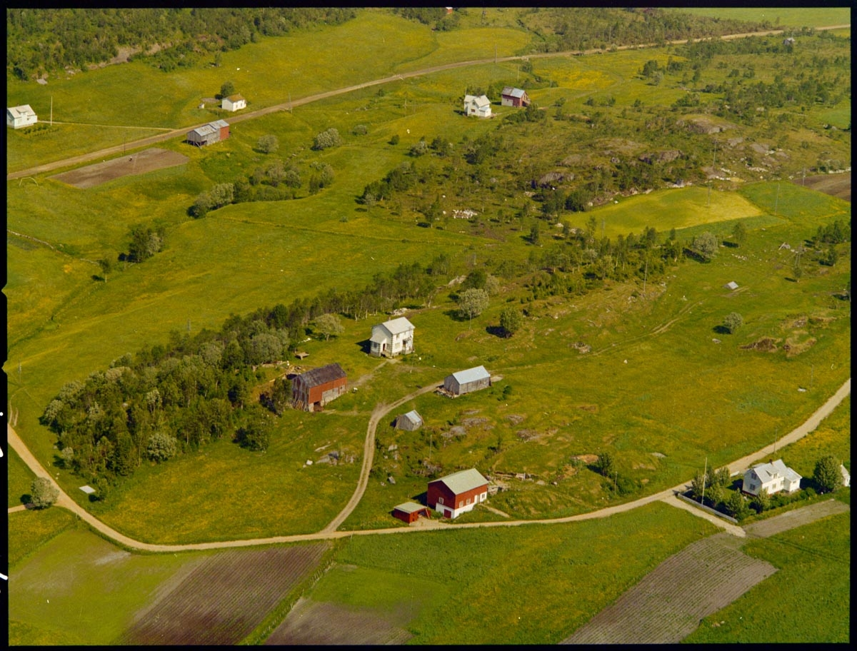 Leirfjord, Nes. Flyfoto over Nes. Midt på bildet ligger gården til Olga og Harald Ludvigsen Tømmervik. I det hvite huset til høyre i bildet bodde Trygve og Åsta Nordnes.
