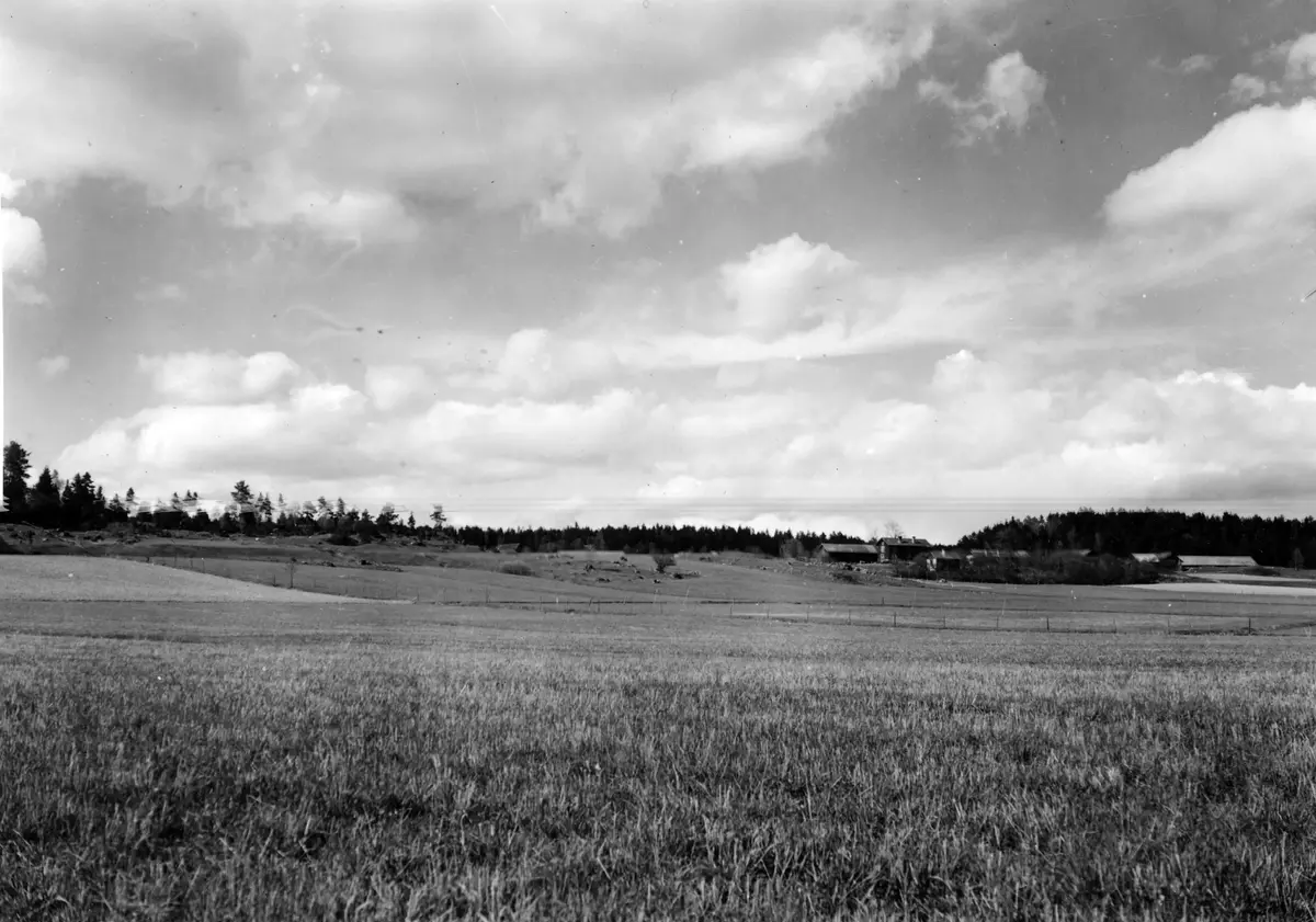 Nr 44. Gravfält (t. v. på bilden) vid Klippsta. Foto från S.