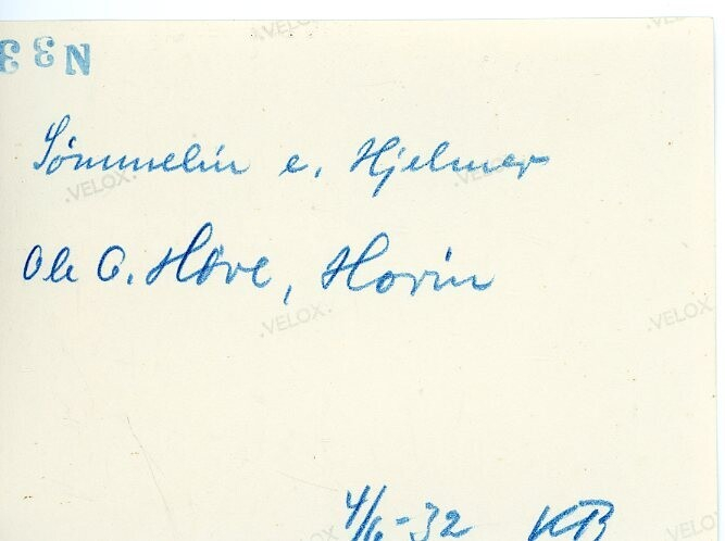 Kua Sømmelin, eigar Ole G. Hove, Hovin.  Tatt 4.6.1932
