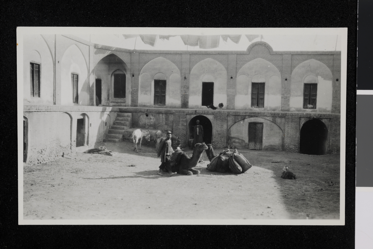 Persisk teppetransport. Fotografi tatt av/ samlet inn av Elisabeth Meyer fra reise til Iran 1929.