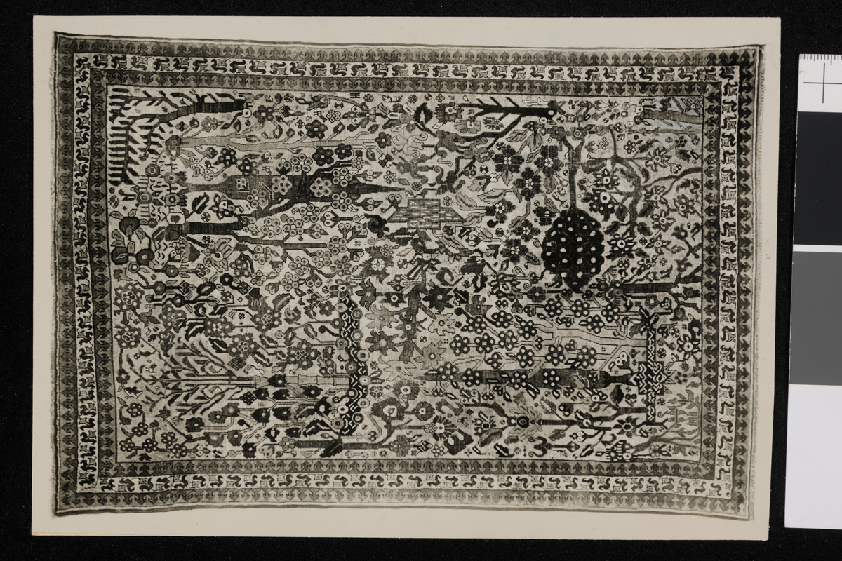 Persiskteppe. Fotografi tatt av/ samlet inn av Elisabeth Meyer fra reise til Iran 1929.