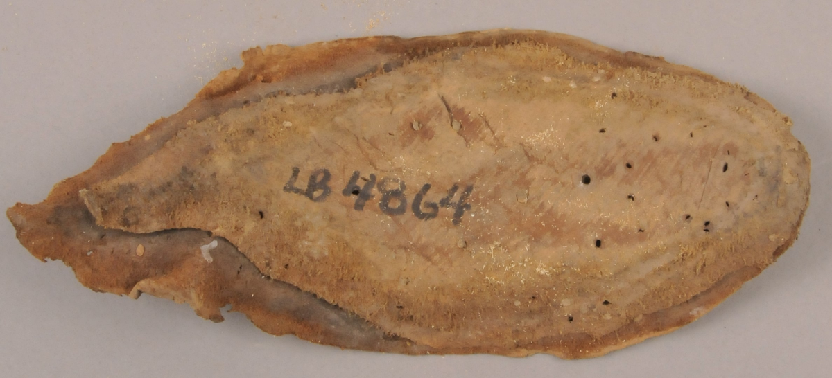 Ein rest av ein innersole. Sålen er forma som framdelen av ein sko, den er sett saman av to lag med skinn.Restar av trenaglar.