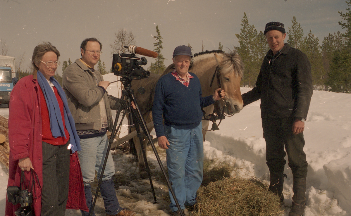 Filming av gammel tømmerdrift med hest i Nes. F.v. Torill Thømt, Torstein Hanserud, Ola Dokken og Harald Rustand.
