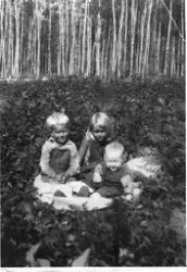 Gruppe med barn
Fra v Arnold, Margit(Madsen) og Jørgen Jorde